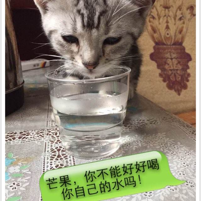 托雷多大学EconomicsDegreeCertificate