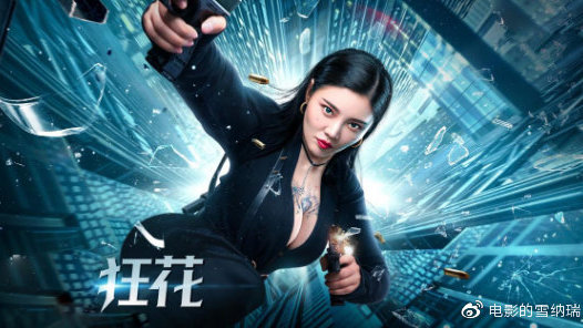 特洛依大学理工科文凭证书